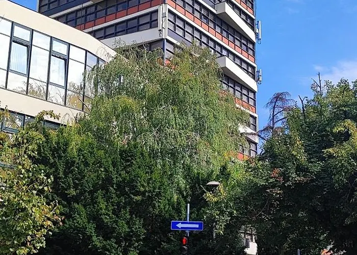 The Offer * 베오그라드